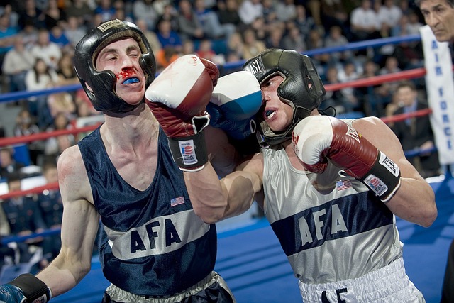 bodies in boxing